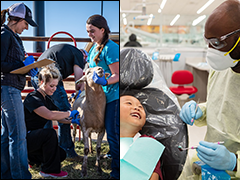 School of Veterinary Medicine and Hunt School of Dental Medicine Complete History Inaugural Years