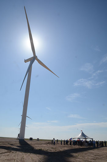 Pantex Wind Farm