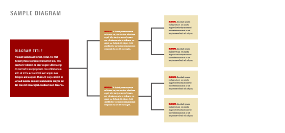 Texas Tech Information Graphics