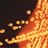 Contaminants