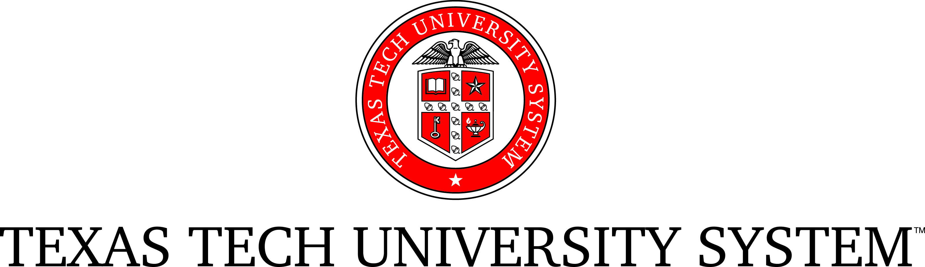 TTU System Lockup