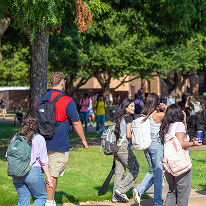 MSU Texas students