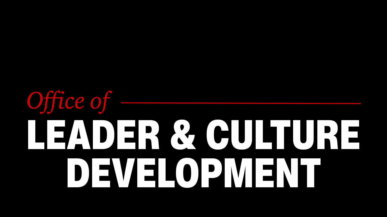 Leader & Culture Development